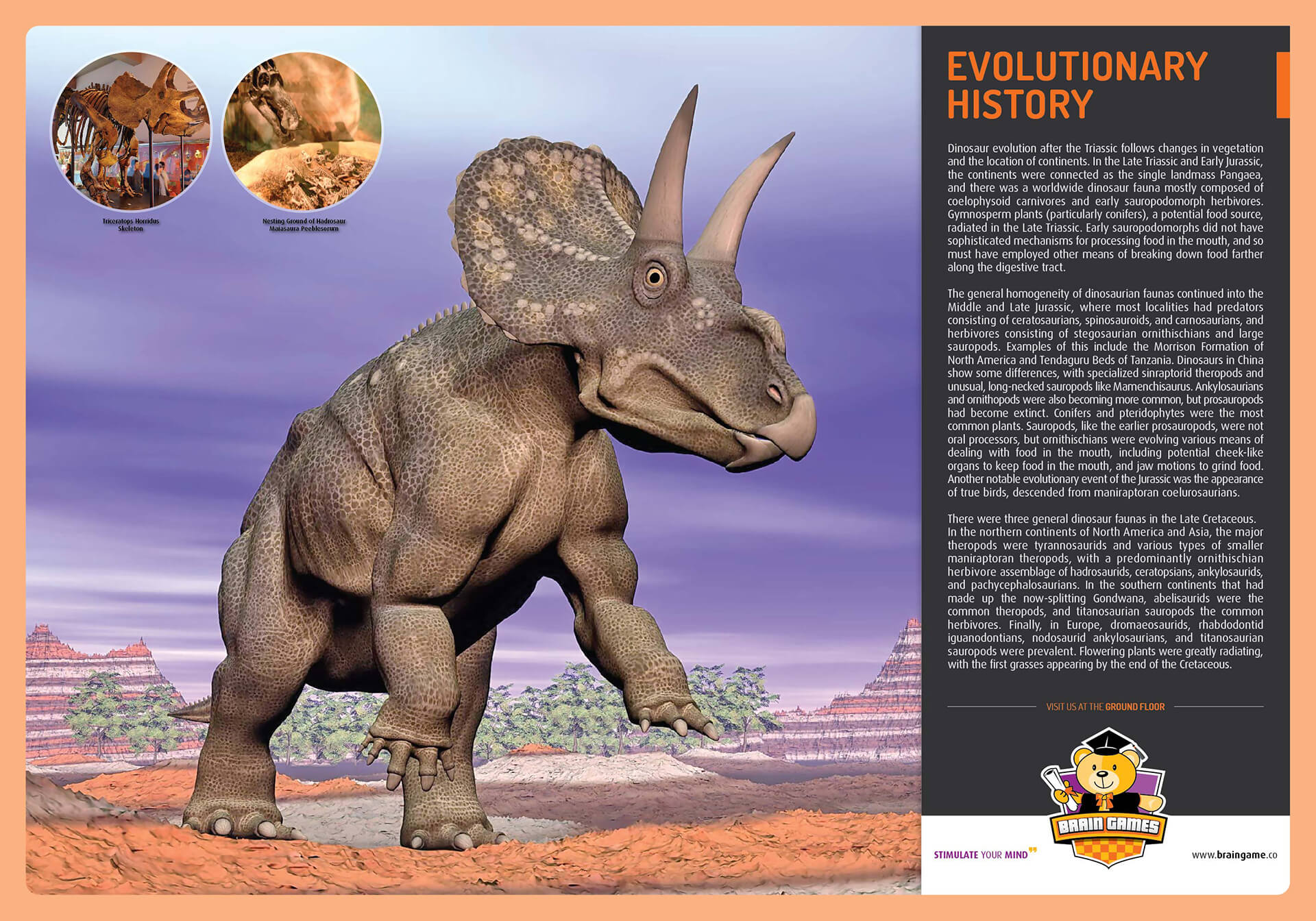 brain-games_poster_dinosaur_evolutionary-history