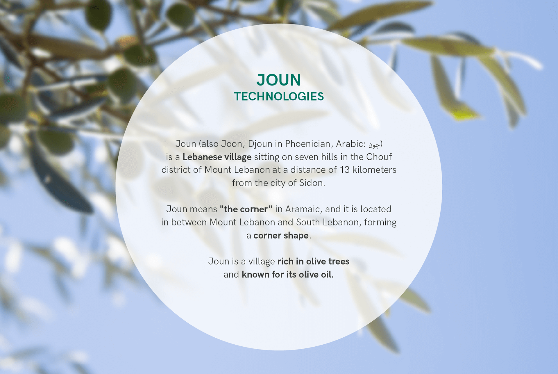 joun-technologies_history